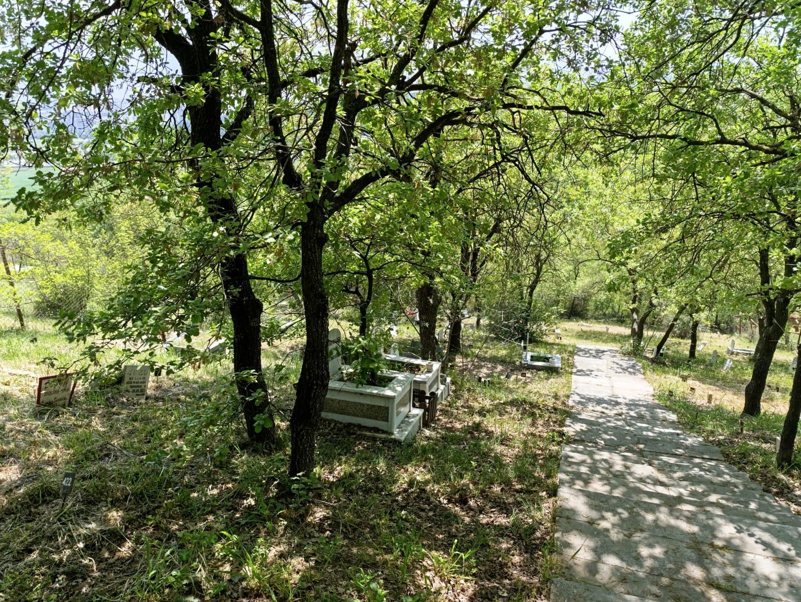 Osmangazi Belediyesi Sahipsiz Hayvanlar Doğal Yaşam Merkezi